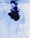 Dark blue ink swirls and diffuses in clear water, creating intricate patterns and shapes against a light background.