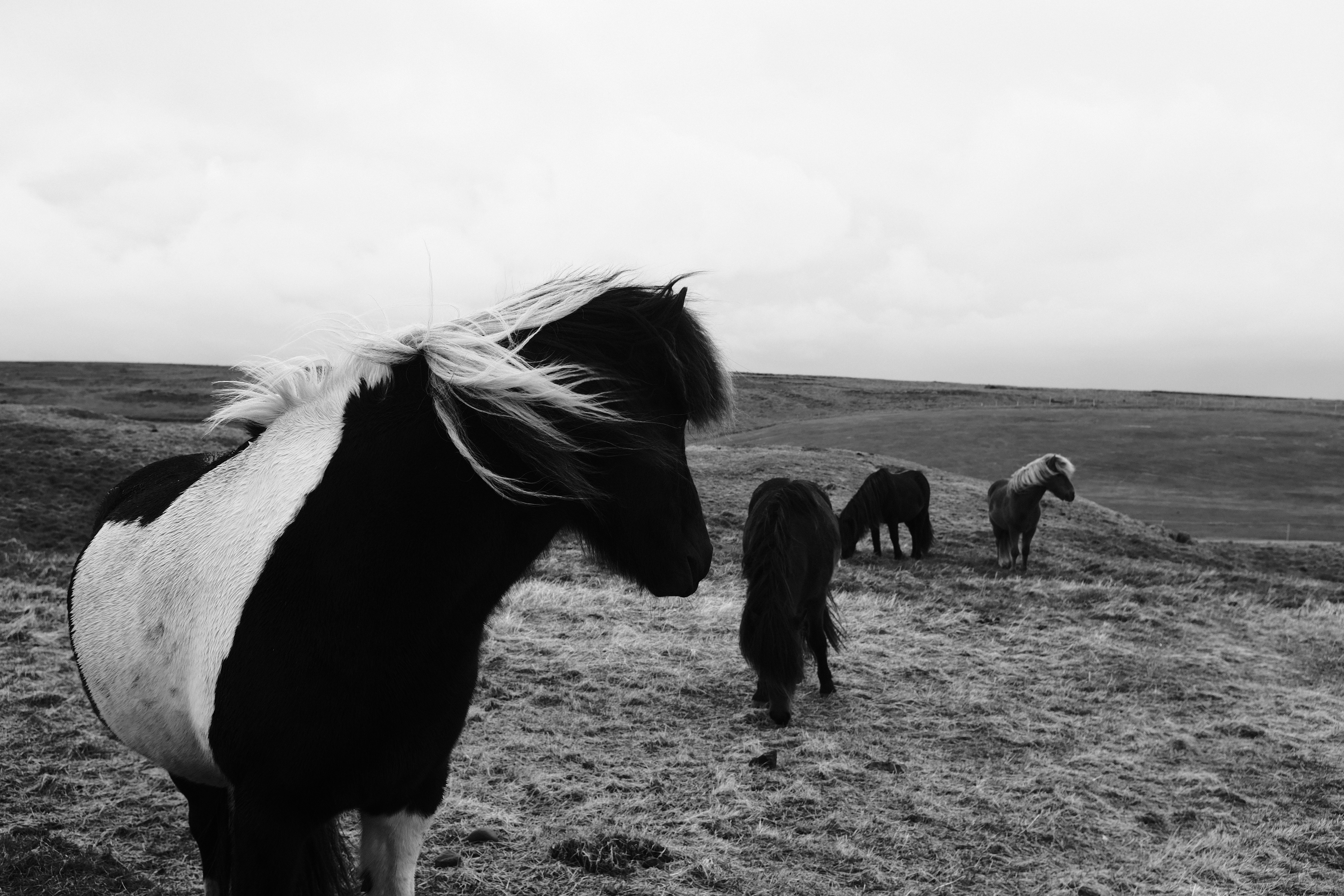 Photo by tomasrobertson