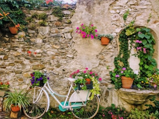 A cozy French countryside scene with a vintage bicycle leaning against a stone wall adorned with lavender.