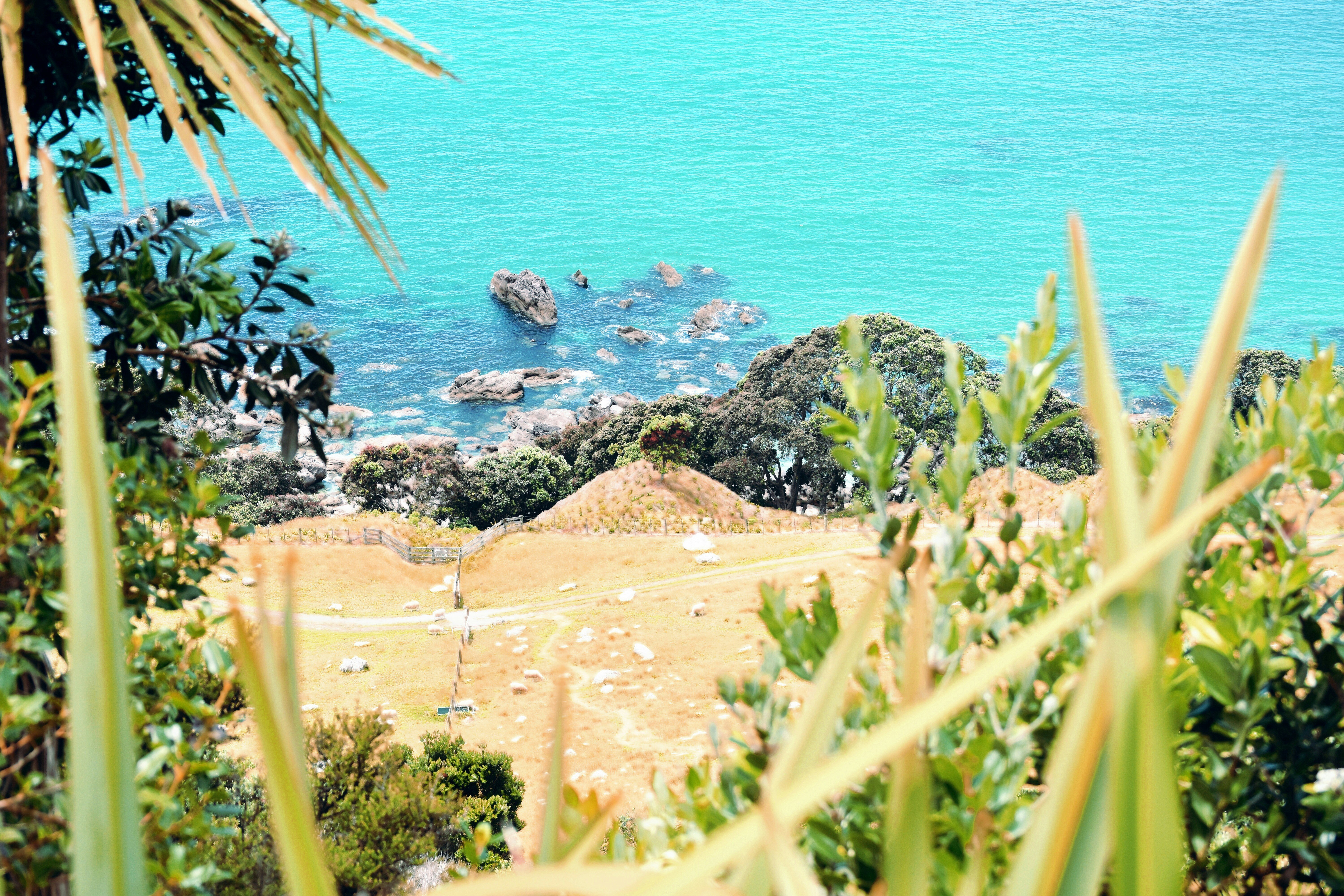 Photo by nicksarvari