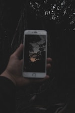 A young boy holding a glowing, mysterious cell phone in a twilight forest.