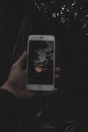 A hiker consulting a smartphone with a breadcrumb trail map in a dense forest at dusk.