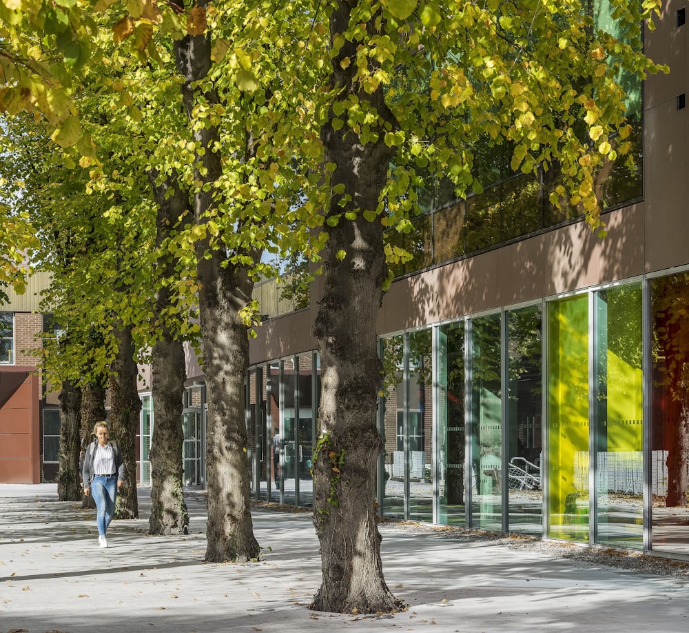 people walking on sidewalk near green trees during daytime