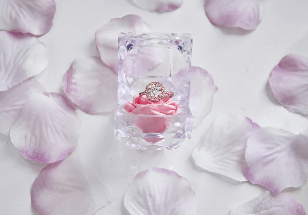 clear glass perfume bottle on pink flower petals