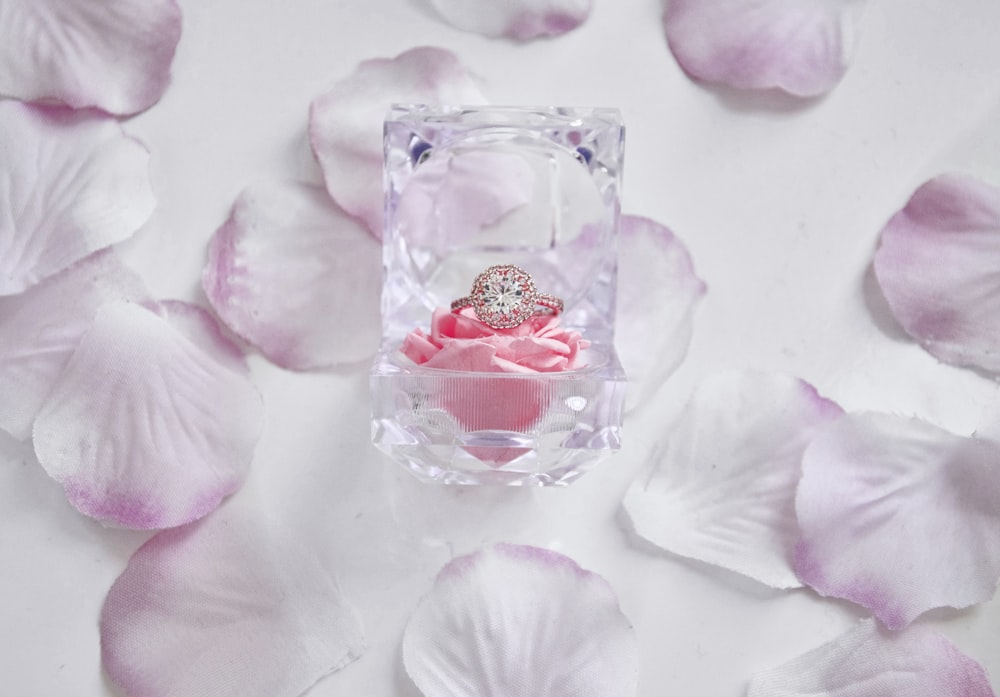 분홍색 꽃잎에 투명 유리 향수 병