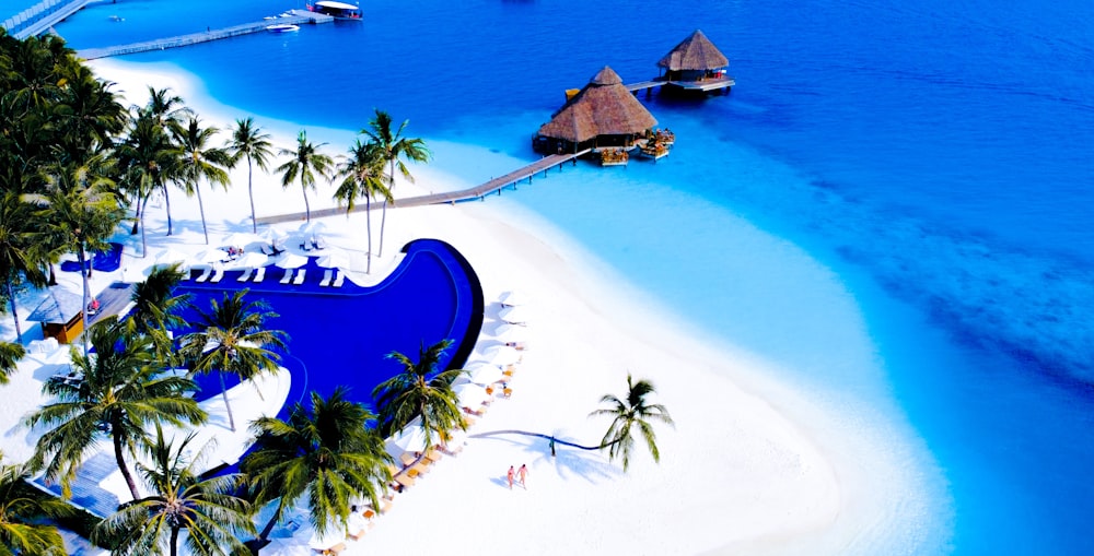 brown wooden house on white sand beach during daytime