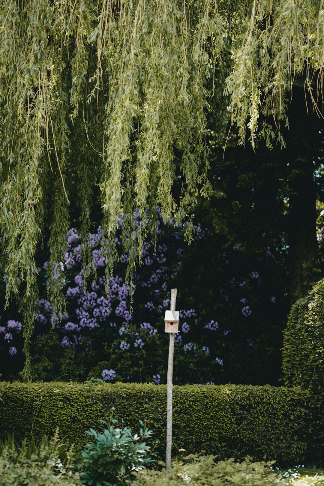 white light post surrounded by green trees during daytime