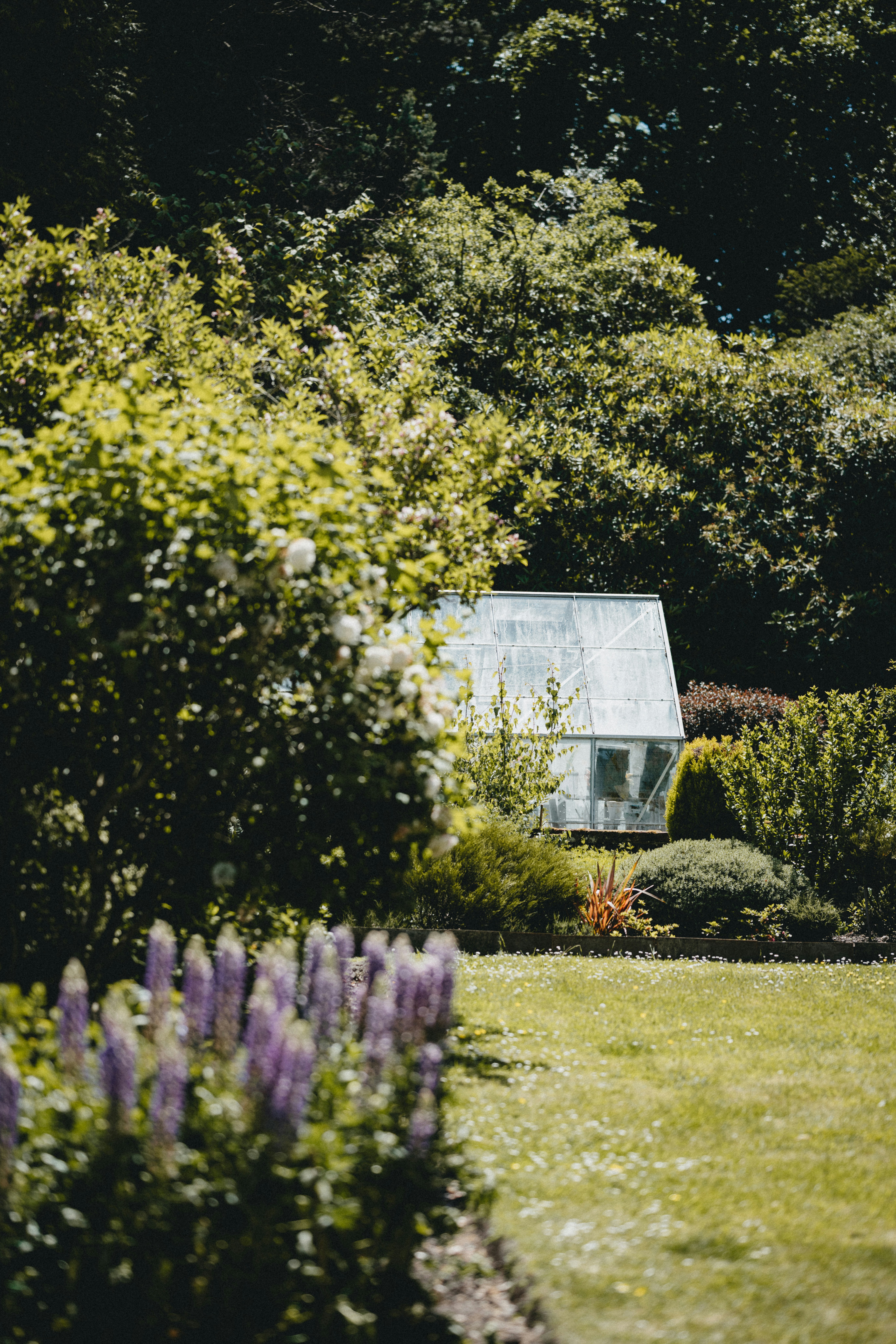 Photo by anniespratt