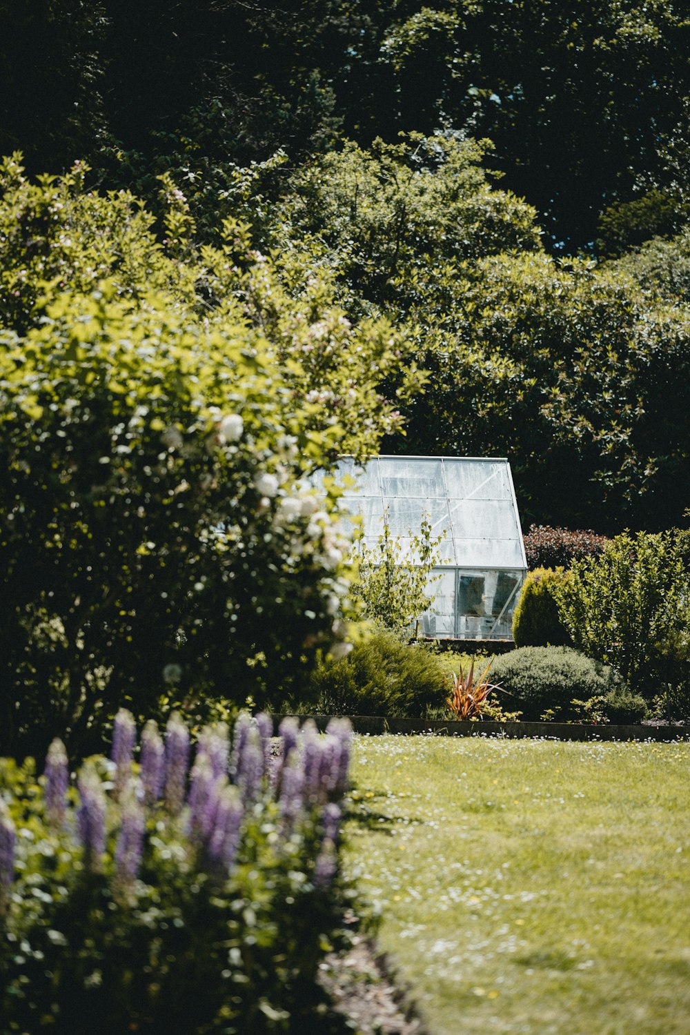 white wooden house near green trees during daytime