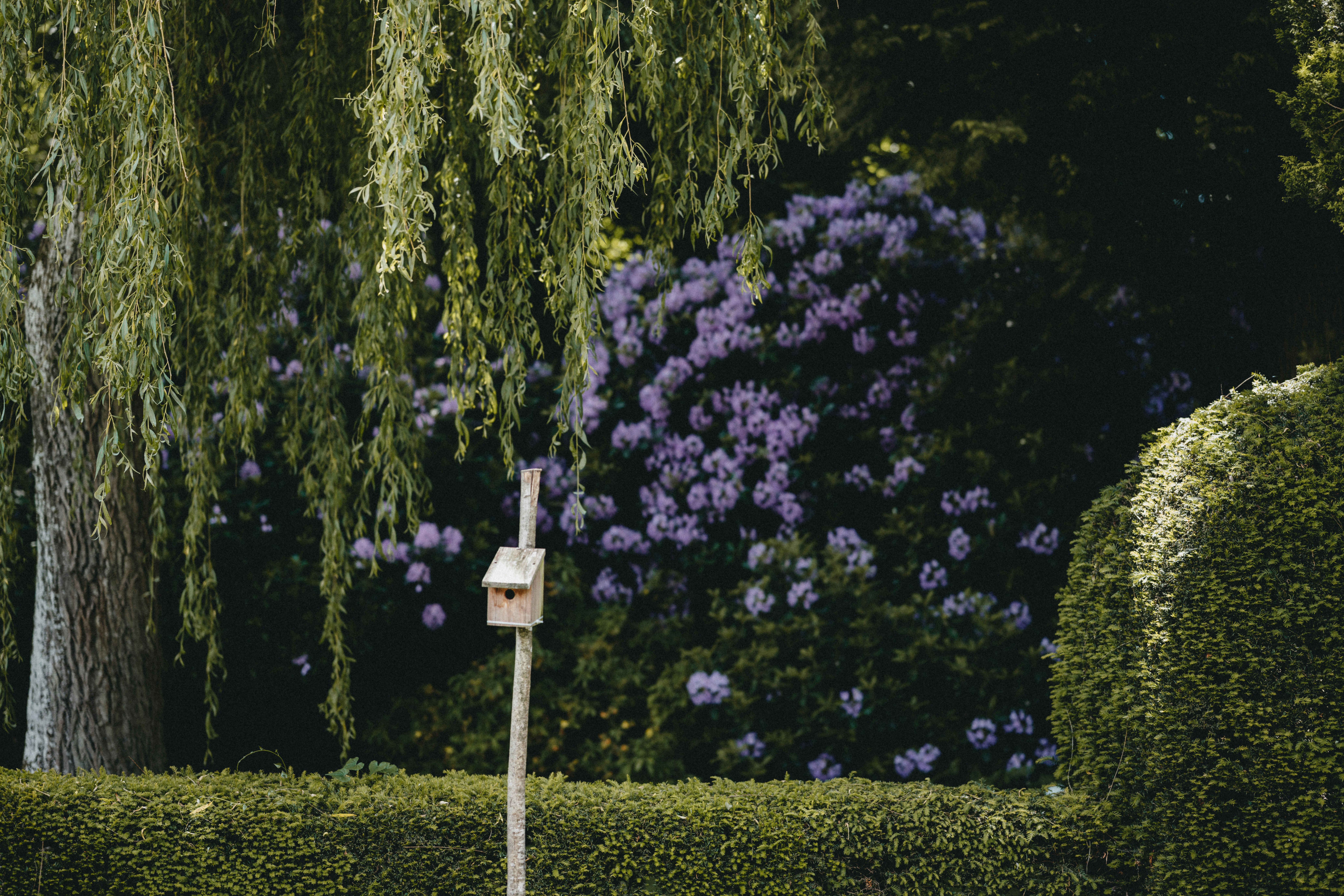 Photo by anniespratt