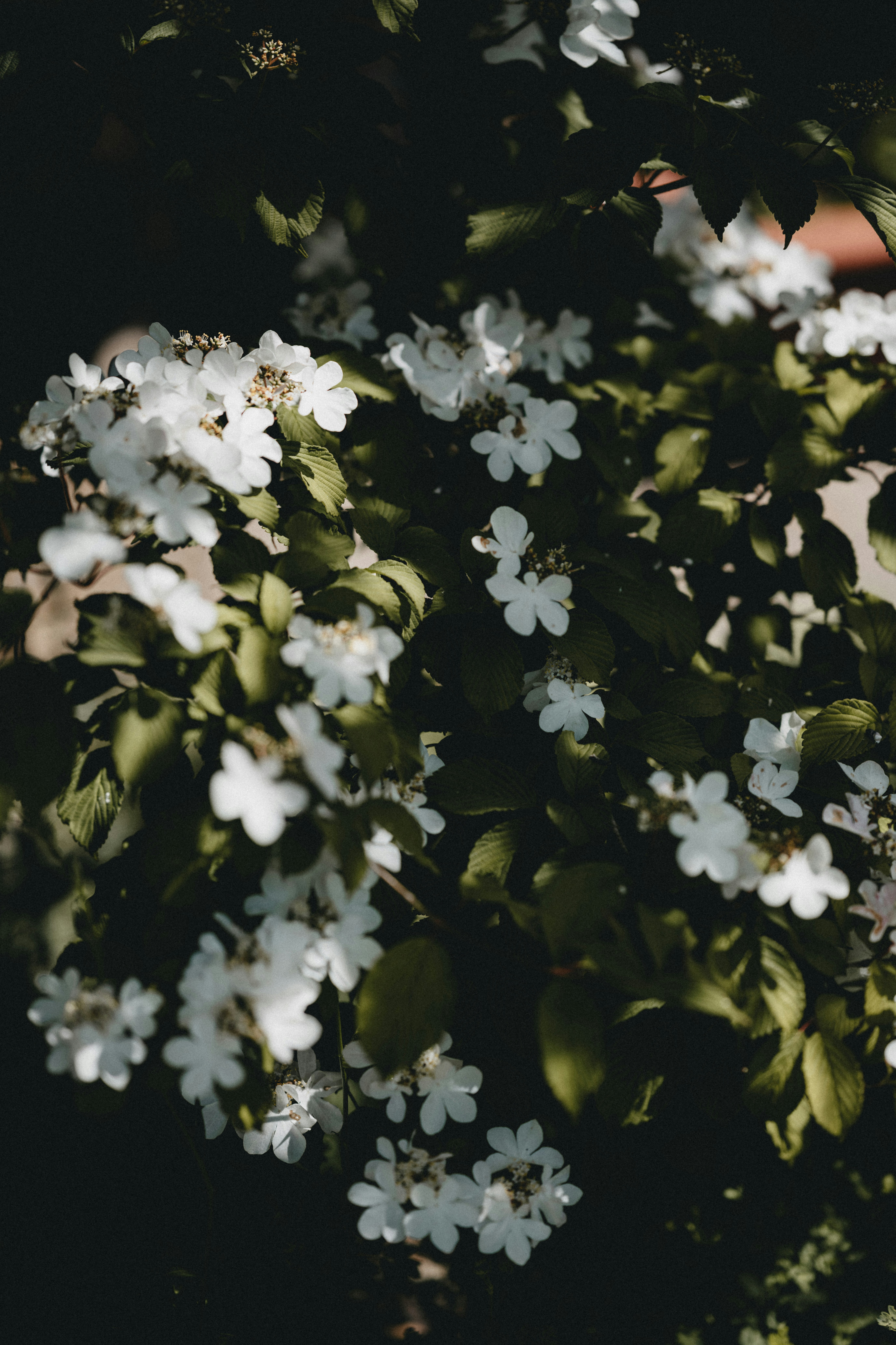 Photo by anniespratt