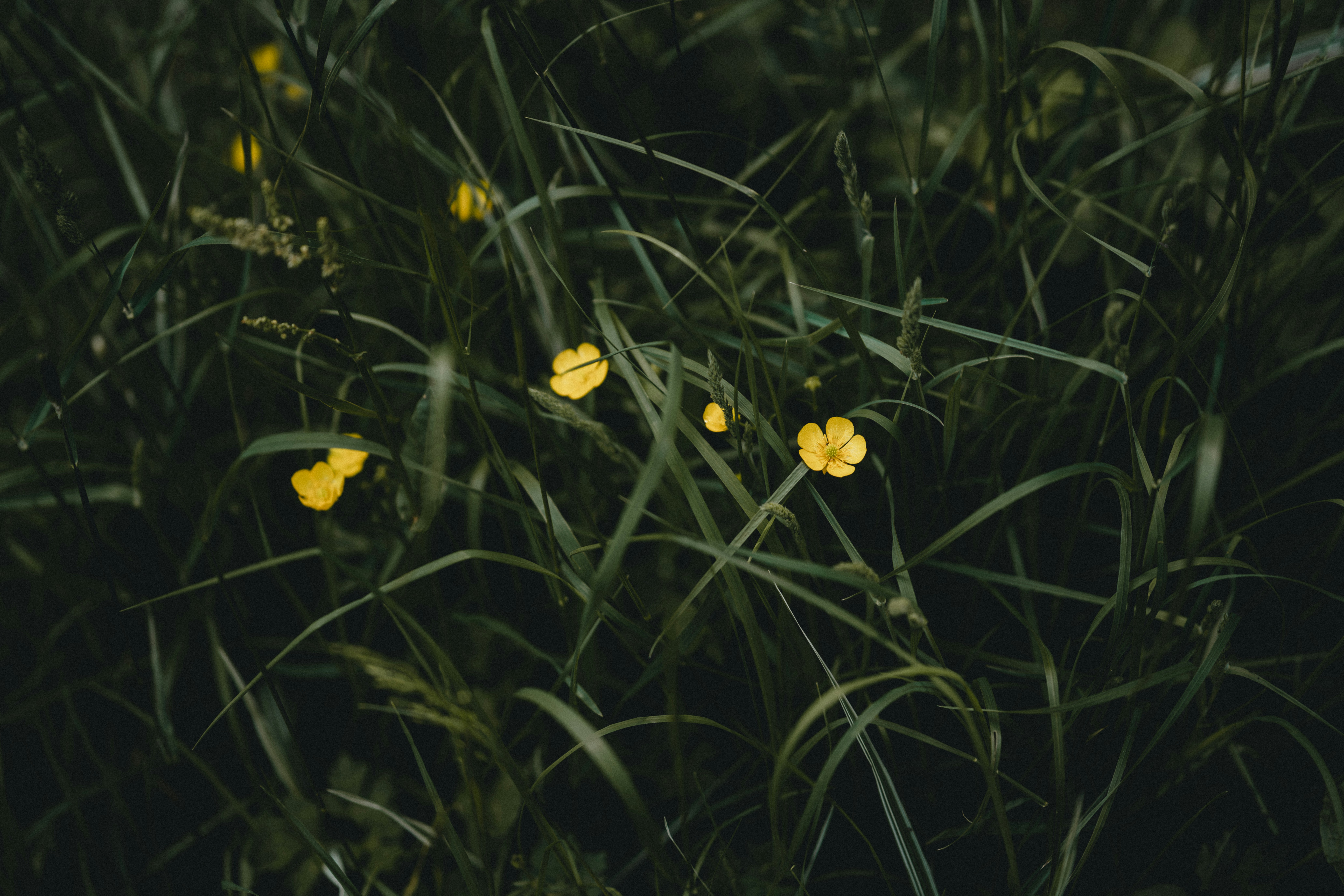 Photo by anniespratt