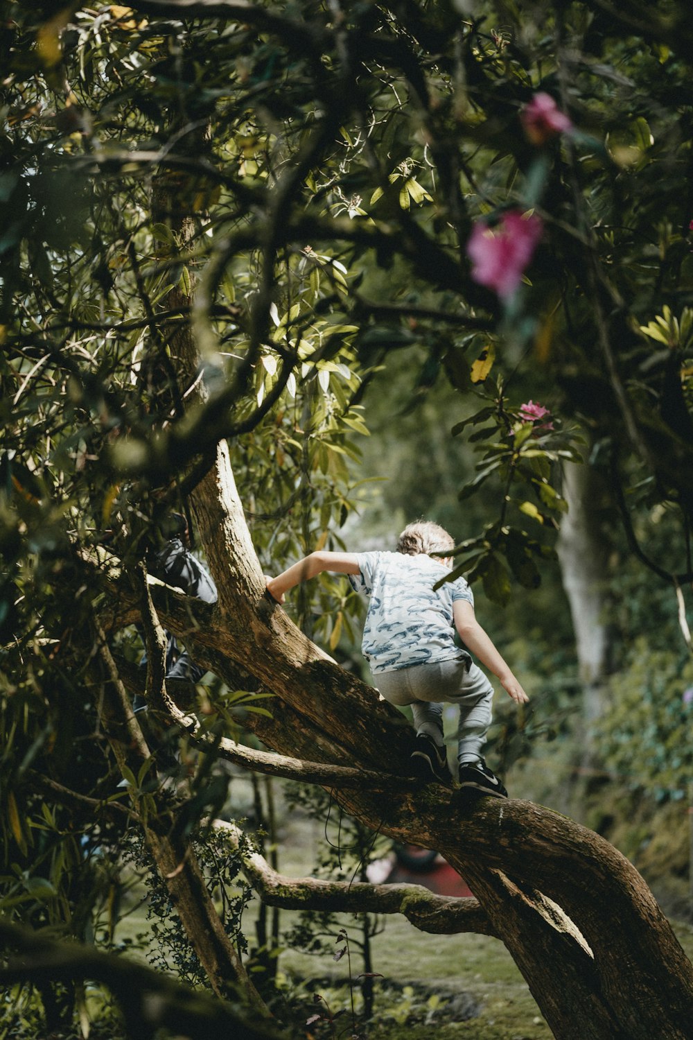 woman in white shirt sitting on tree branch