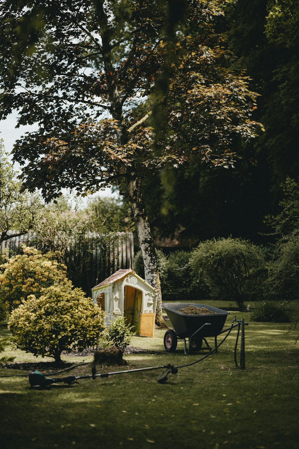 brown wooden bench near green trees during daytime