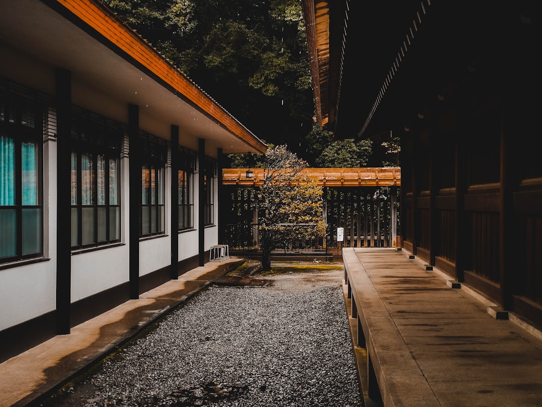 Temple photo spot Meiji Shrine Shinjuku City