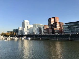 city skyline across body of water during daytime