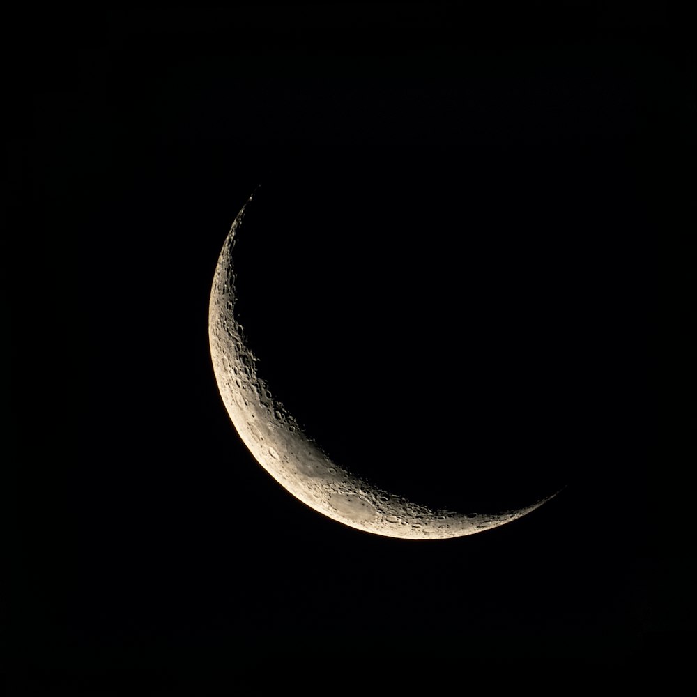 500+ Crescent Moon Pictures [HQ] | Download Free Images on Unsplash