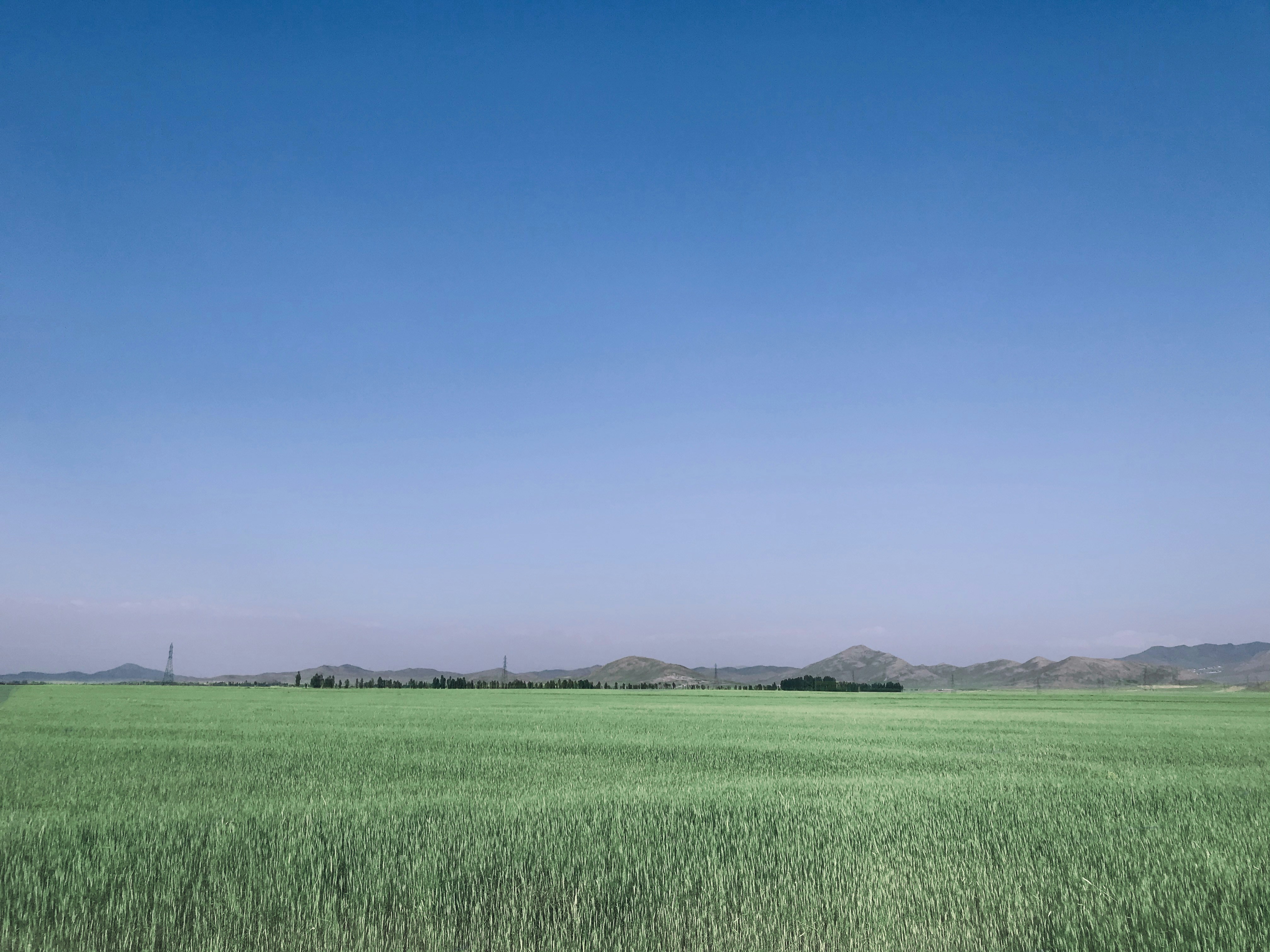 Photo by tahamousavi