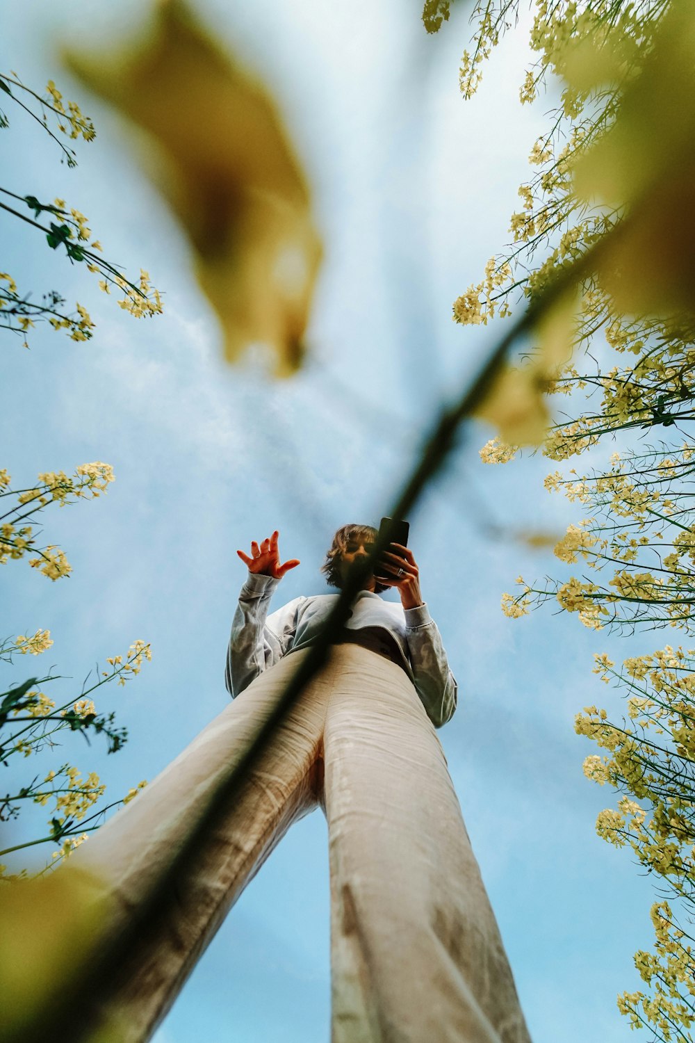 man in black jacket and white pants climbing on tree during daytime