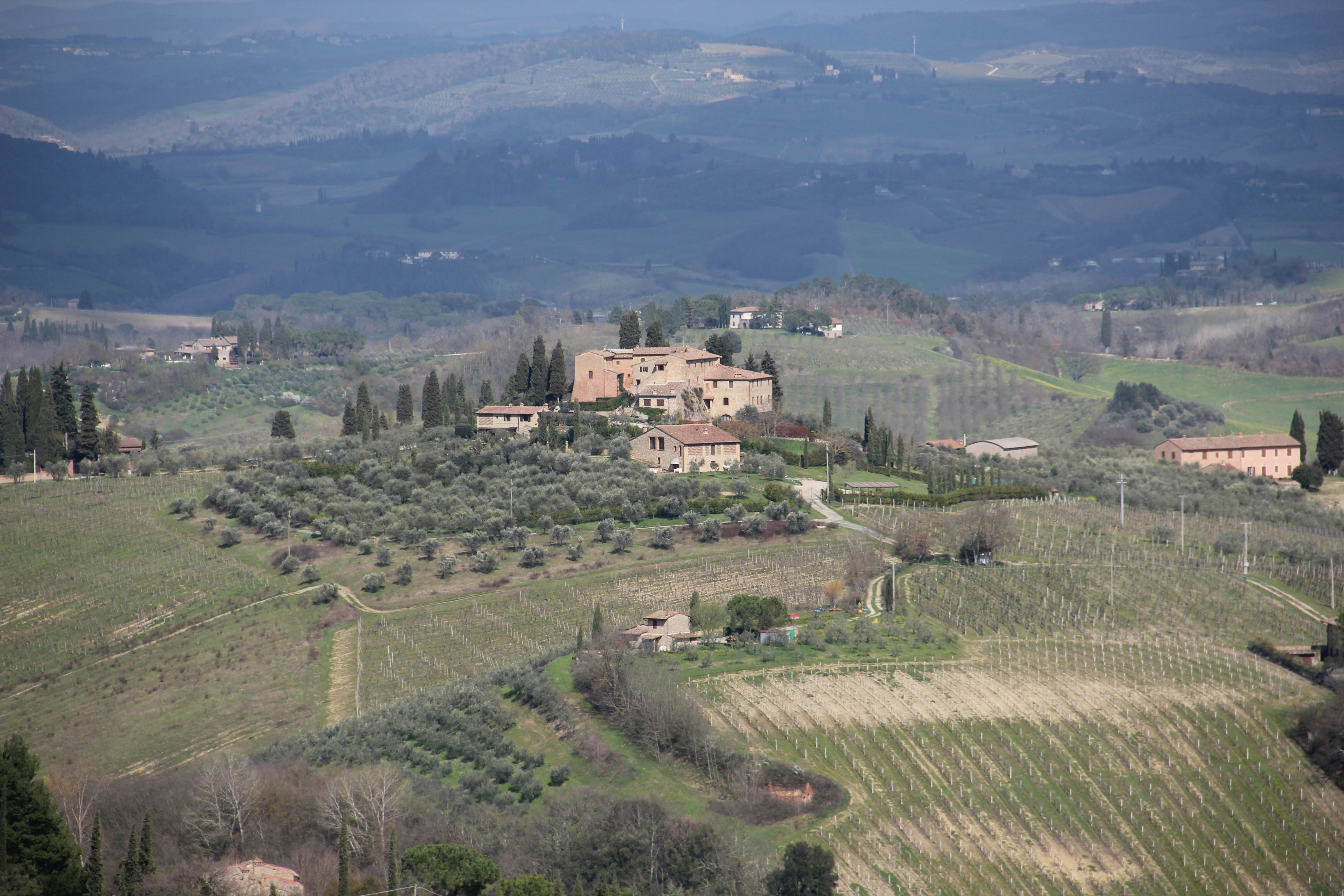 Photo by shalevcohen