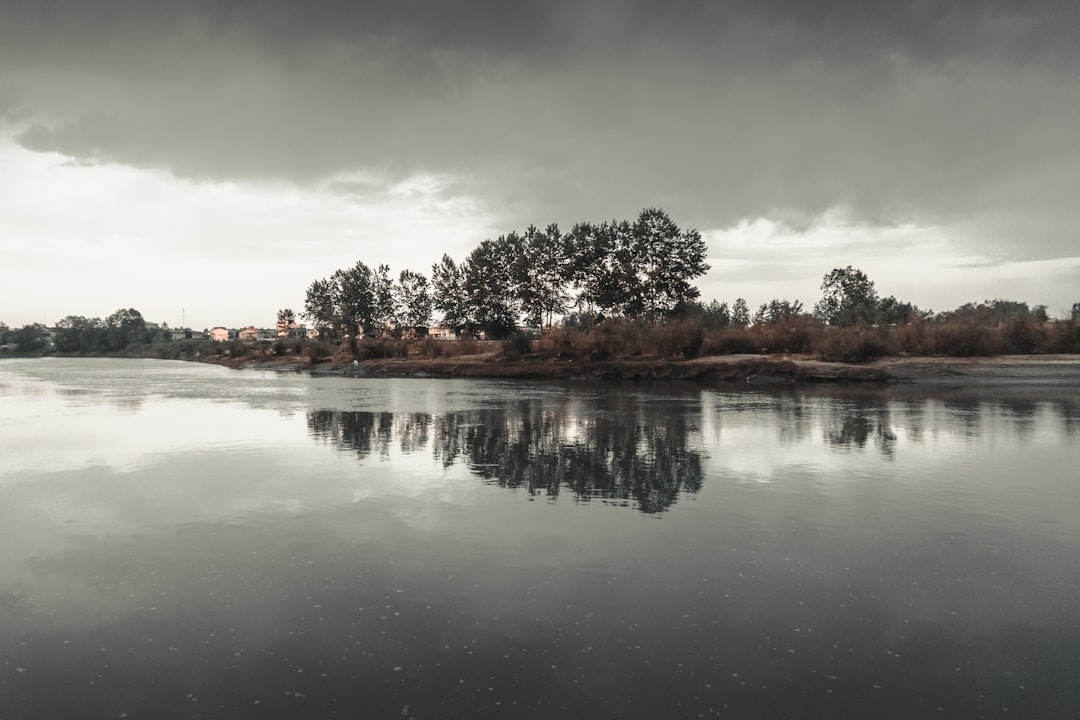 body of water near trees under cloudy sky during daytime