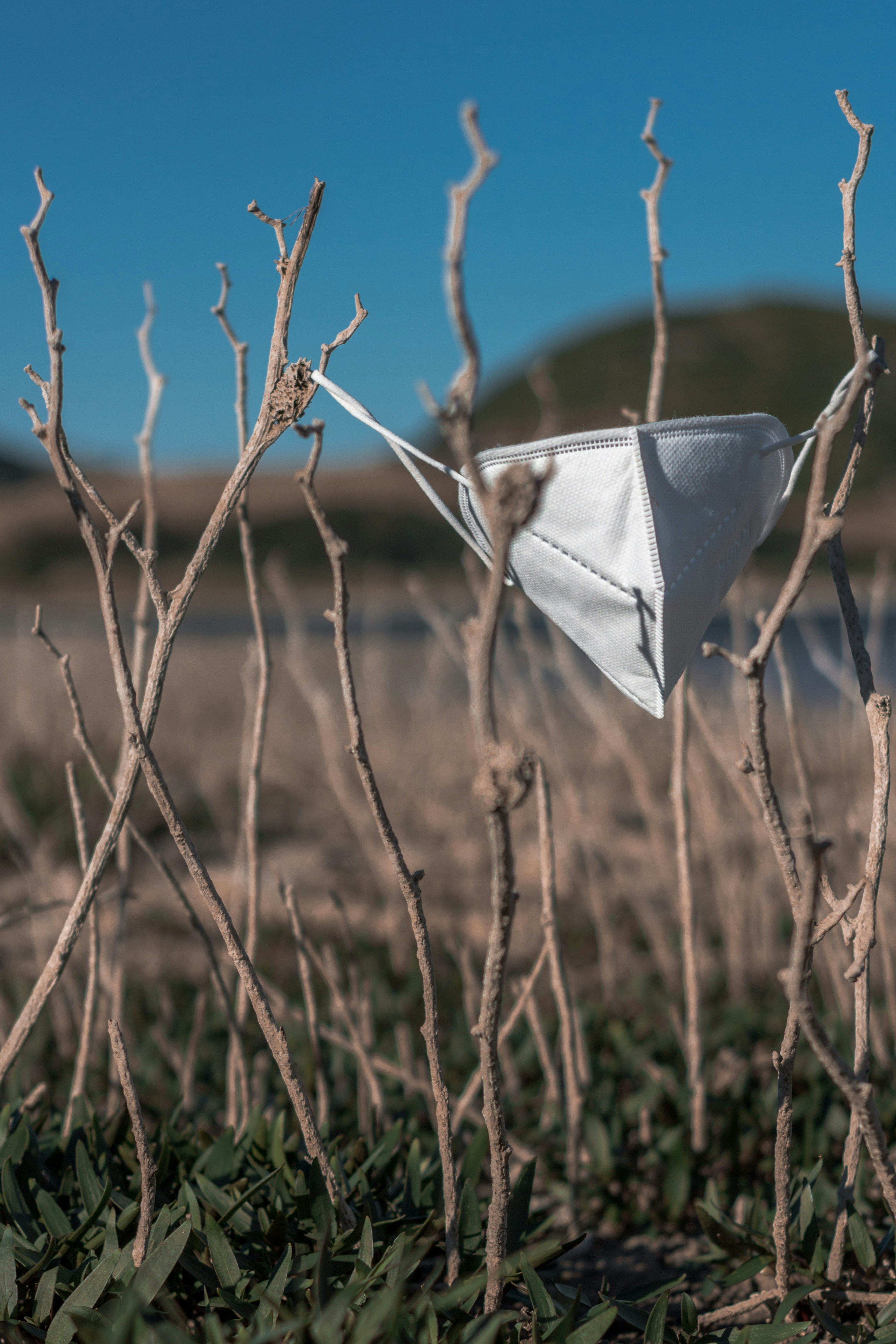 Photo by lucadiscenza