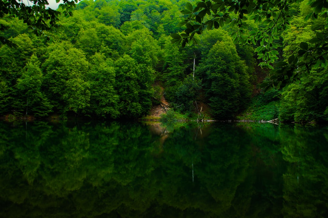 Natural landscape photo spot İsmayıllı Agsu