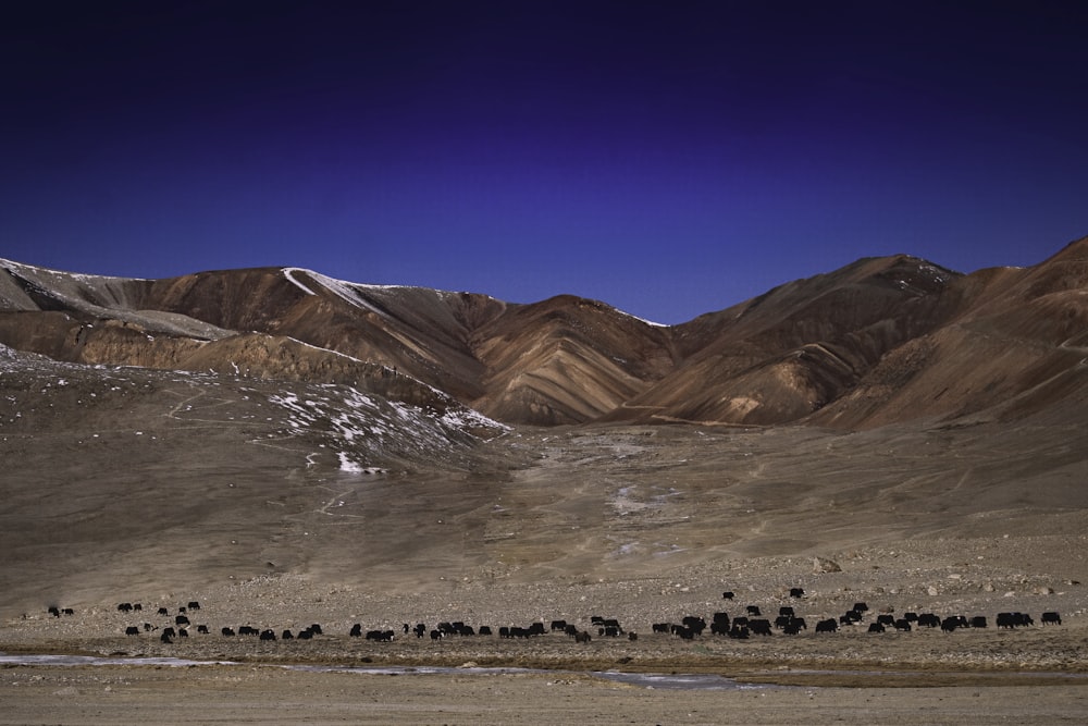 Montañas marrones y blancas bajo el cielo azul durante el día