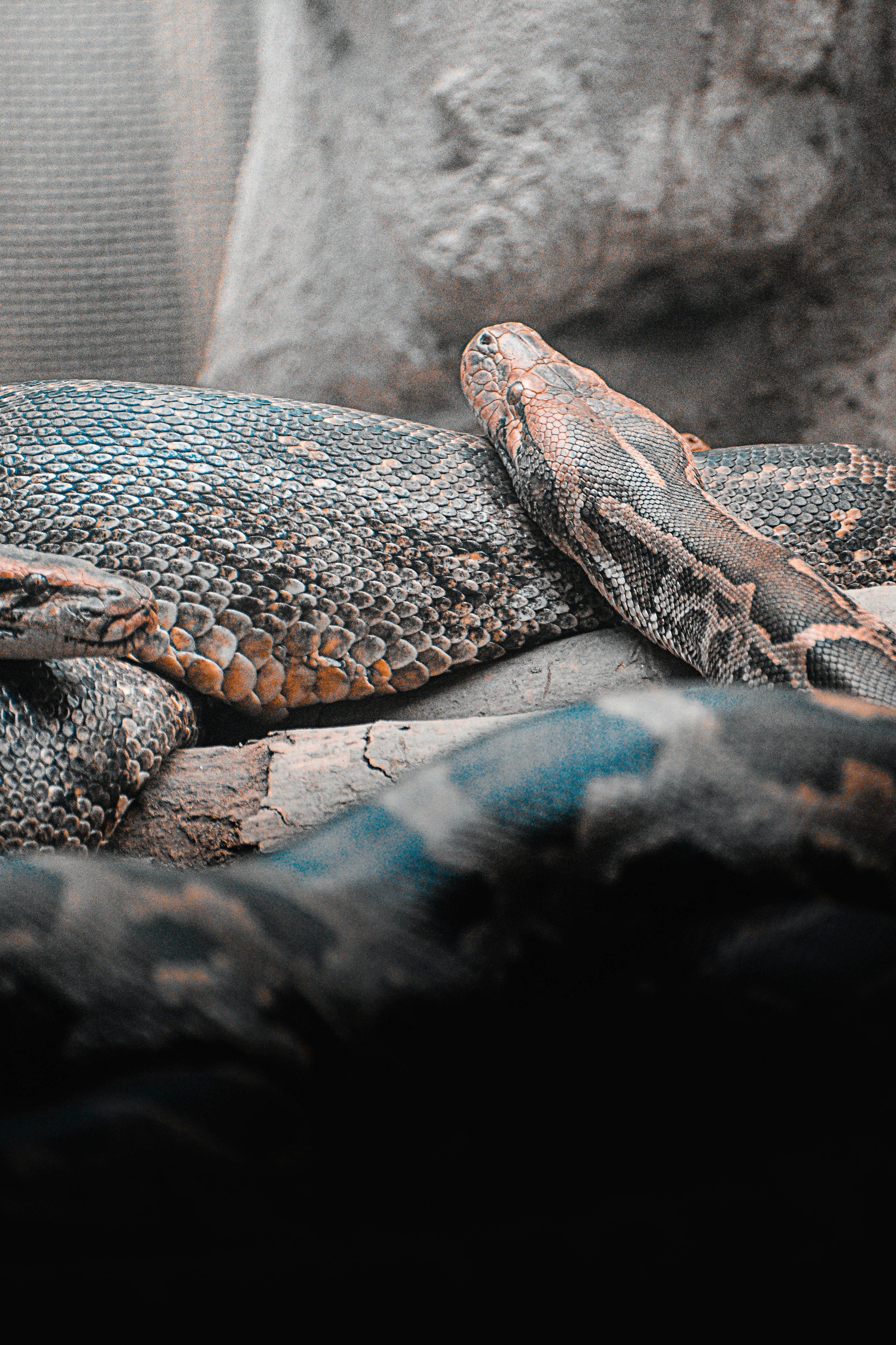 Photo by itsmanoharmanu