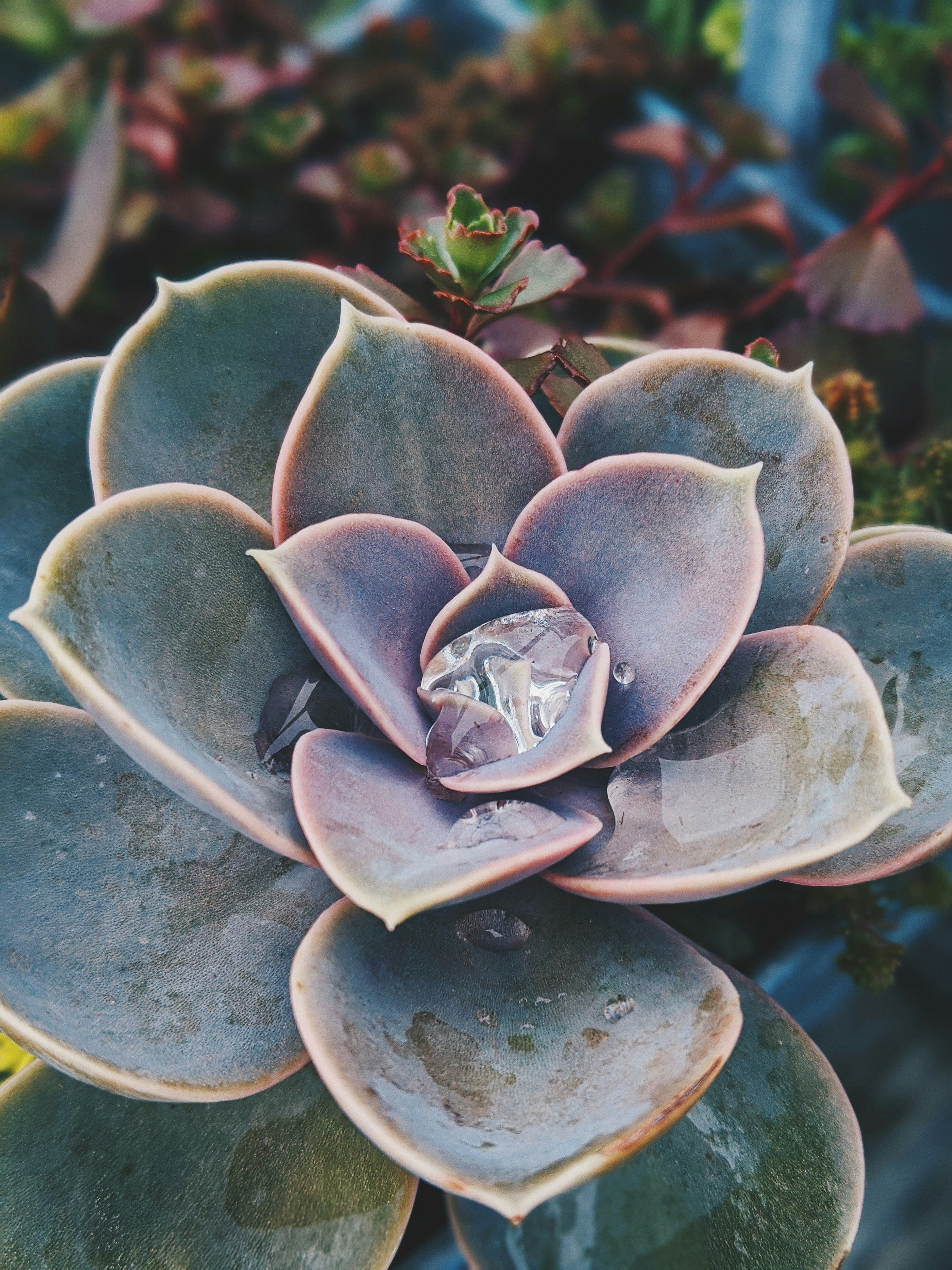 Photo by justinpheapco