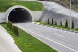 green grass field near gray concrete road