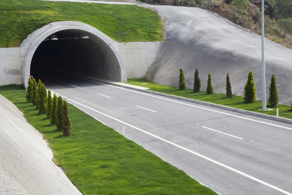 灰色のコンクリート道路近くの緑の草原