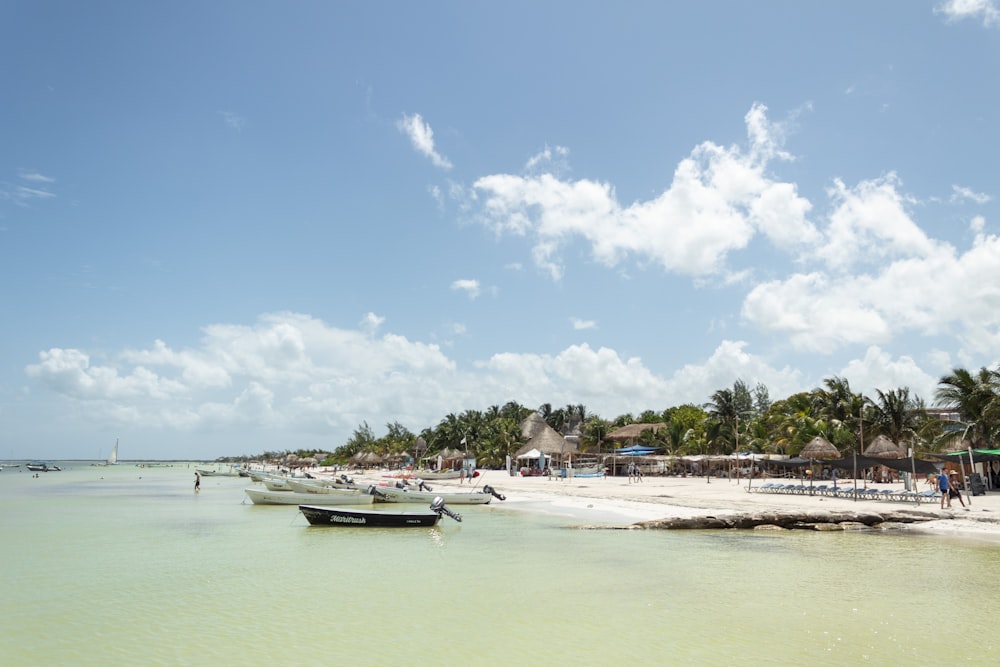 white boat on sea shore during daytime