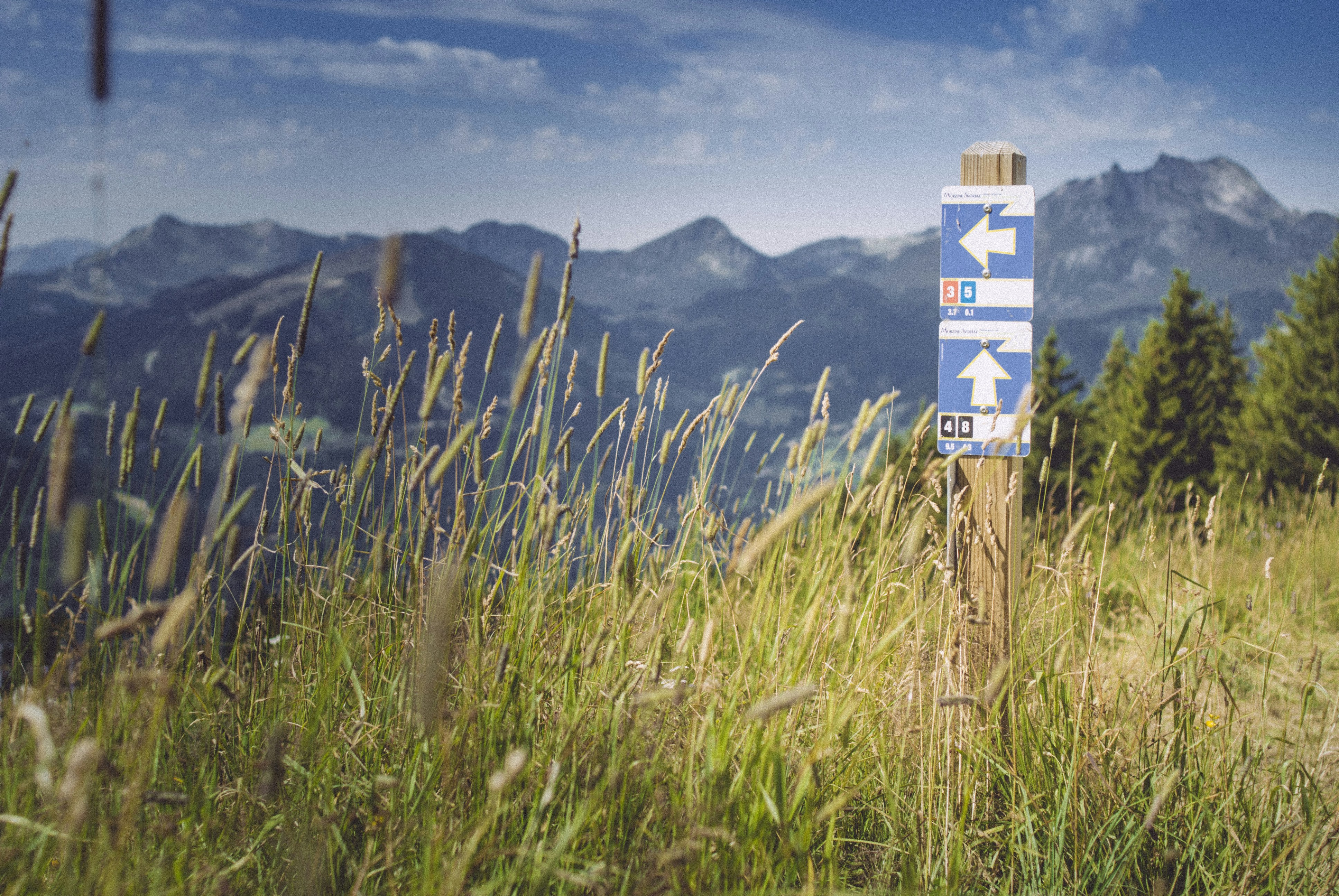 Apple Maps Upgrades, Privacy Walled Garden, Ohio Sees Google As 'Utility'