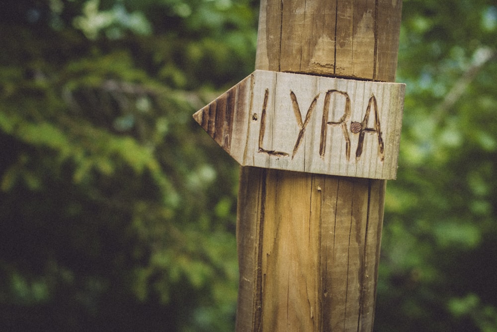 brown wooden arrow sign on brown wooden post