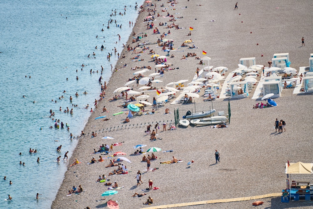 people on beach during daytime