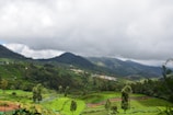 A lush green landscape filled with terraced plantations, surrounded by majestic hills partially veiled by low-hanging clouds. A small village with colorful houses lies nestled within the scenery, adding a touch of human presence to the natural setting.