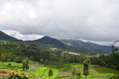 A lush green landscape filled with terraced plantations, surrounded by majestic hills partially veiled by low-hanging clouds. A small village with colorful houses lies nestled within the scenery, adding a touch of human presence to the natural setting.