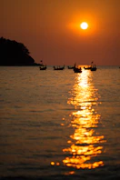people on beach during sunset