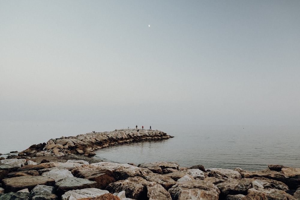 people on beach during daytime