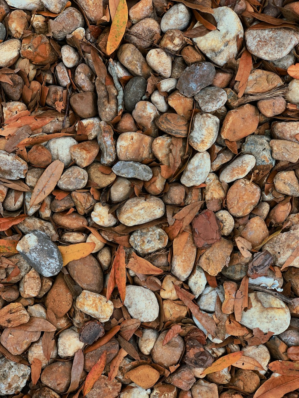 brown and gray stone fragments