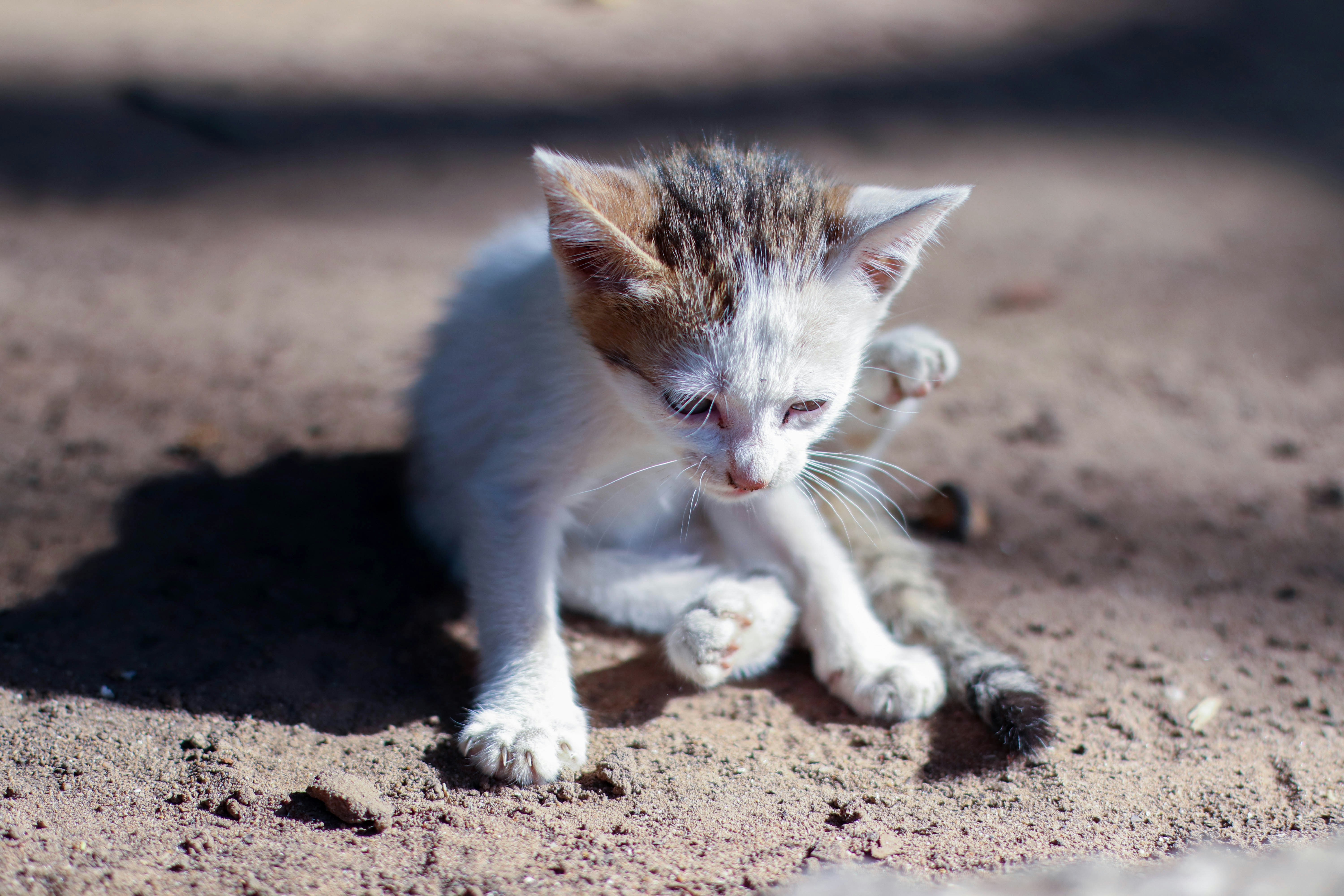 Photo by binhminhnguyen