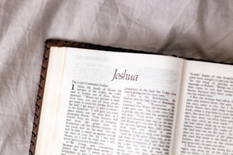 white book page on white textile