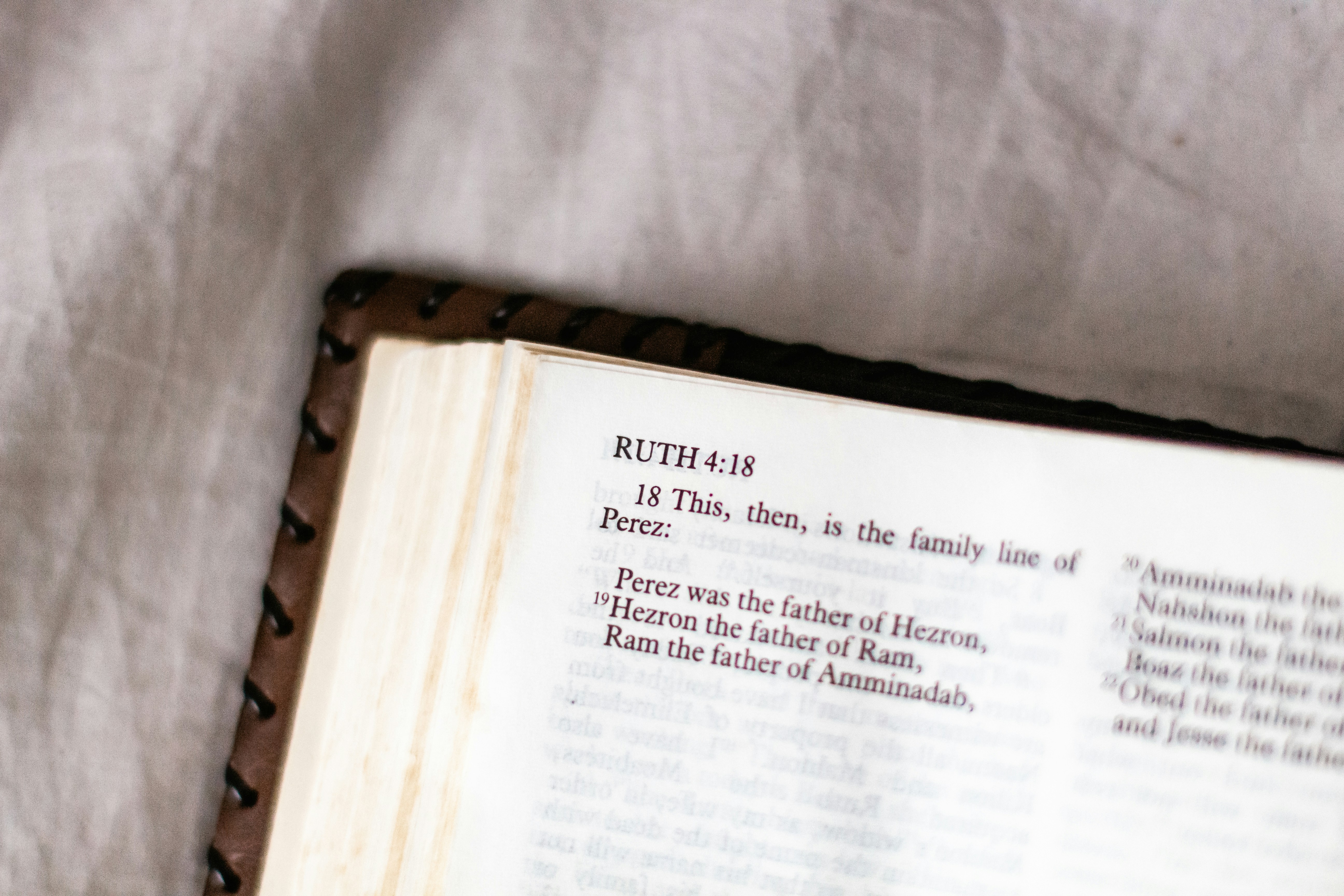 The Bible book of Ruth