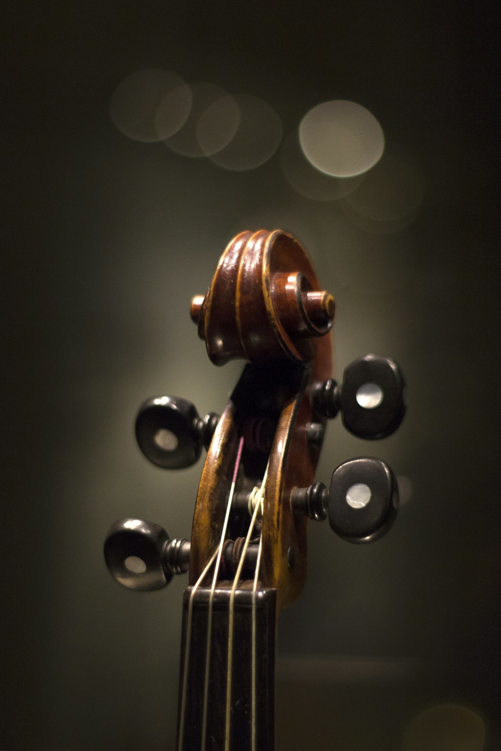 instrumento de cordas marrom em fotografia de close up