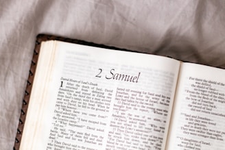 white book page on white textile