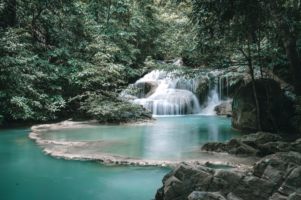 water falls in the middle of green trees