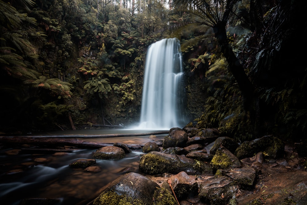 water falls in the forest