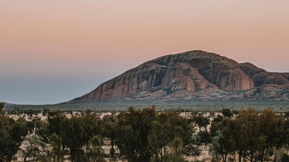 brown mountain near body of water during daytime