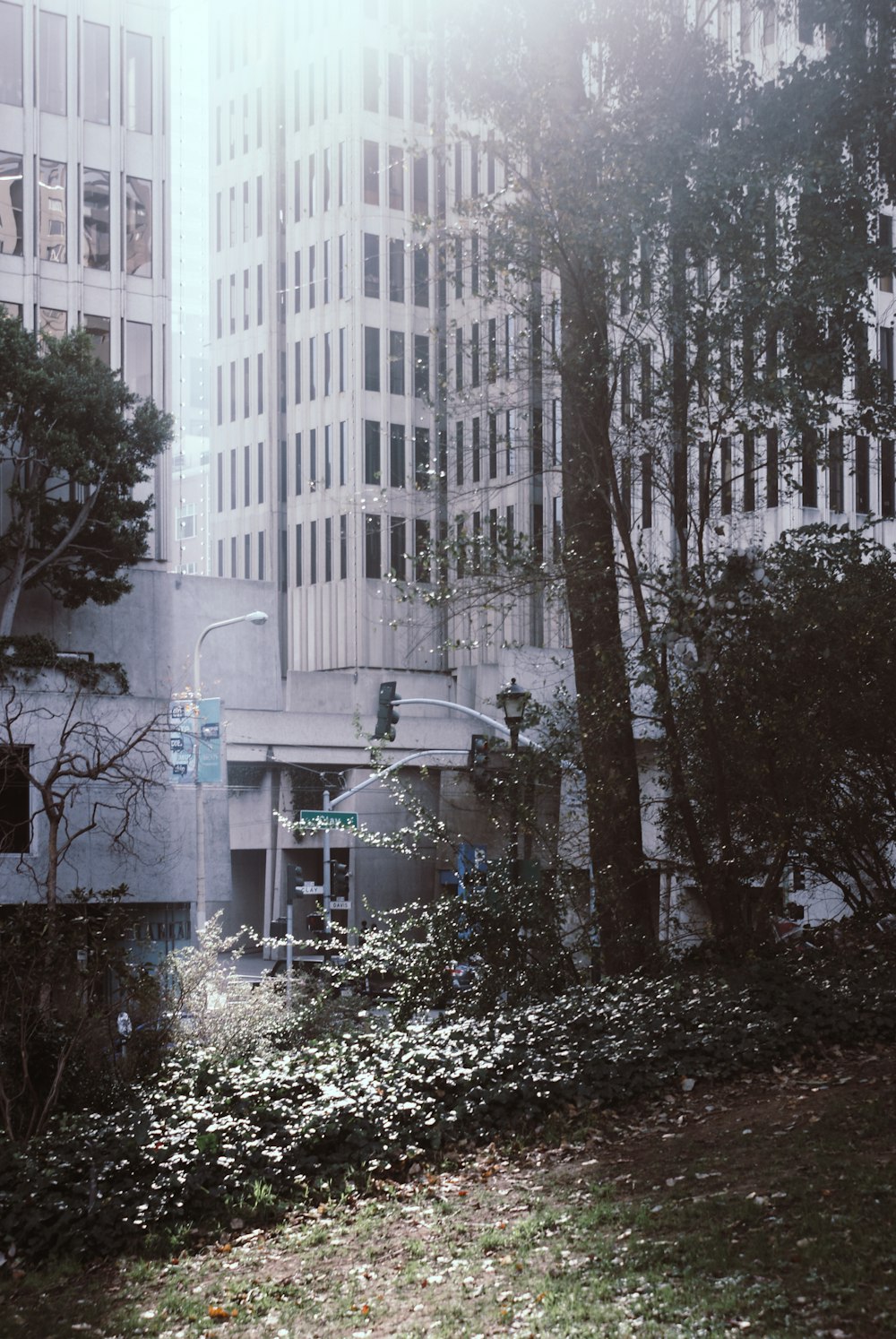 white concrete building near trees during daytime